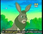 الأرانب المرفهه (تل الأحلام)