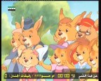 الحلقة 25 (حكايات الأرانب)
