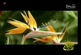 إضغط لمشاهدة '' عظمة الخالق انشاد عبدالله العبودي ''