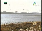 إضغط لمشاهدة '' دلتا نهر ميكونج(جولة عالمية) ''