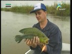 إضغط لمشاهدة '' غابات الأمازون (صيادو السمك) ''