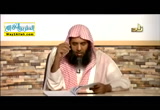 المحاضرة الخامسة عشر - جمع المذكر السالم وملحقاته ( 29/3/2016 ) اللغة العربية
