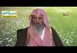 الشرك يضاد التوحيد وينافيه ( 18/4/2016 ) اصول الدين