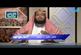 الحلقة 17 القرآن الناطق والصامت عند الشيعة ج1 (الحوزة)