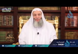 ( 19) خروج الدابة - المصير