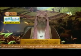 كيف تصام الست من شوال ؟ وما هو فضلها ؟  ( 15/6/2018 ) اسئله واجوبه رمضانيه