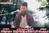 14 - البشارة بالرسول صلى الله عليه وسلم. د/محمد إسماعيل