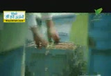 عالم النحل (22/7/2012) مشاهد 3