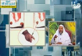 صفة صلاة المصطفى صلى الله عليه وسلم5-أخطاء الناس في الصلاة( 27/4/2013)فقه المهتدي