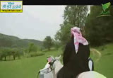 حديث ممتع للشيخ نبيل العوضي وعائض القرني (24/7/2013) سواعد الإخاء