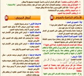 رمضان قرب يلا نقرب 