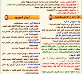 رمضان قرب يلا نقرب 