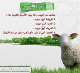 العشر الأوائل من ذي الحجة