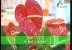 نباتات 3 (نباتات الزينة)