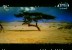 الدنيا ساعة (من أمثال الحديث النبوي)