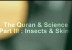 Quran & Science Part III Insects & Skins
