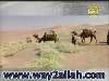 يا كعبة ربي