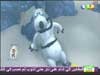 الغطس مع القروش