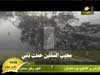 مجيب السائلين إنشاد يوسف معاطي