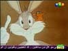 الأرنب يلهو 8