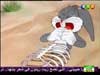 الأرنب يلهو 9