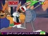 الأرنب يلهو 10