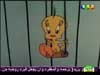 تويتي 7