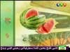 البطيخ