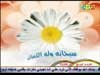الأقحوان يزهر