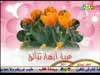 أزهار تتألق