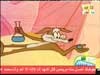 الطائر السريع 13