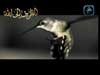 بديعٌٌ إنشاد شريف أبو سليمان