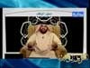 تحليل المواقف (رسالة إلى الزوجين)