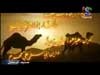 18- فلول العدو في الطائف (سيد المرسلين)