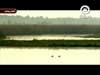 الأنعام - الايه 59- 60 (ايات تشهد)