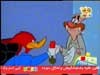 ايجار المنزل (نقار الخشب)