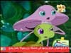 الحلقة 20 (سمكة الشبوط)