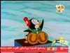 بطولة القطب الجنوبي (نقار الخشب)