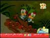 في المعسكر (نقار الخشب)