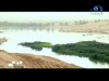 وادي الرمة 