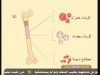 الجروح (علمني كيف)
