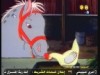 المهرة والدجاجة   (حكايات قندس)