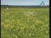 الطبيعة (الطبيعة في كوبا)