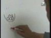 التقرير (التقرير الشامل)