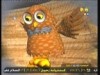اختباء الحيوانات  (جولة انيس)