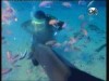 بحيرات كنيسنا   (عجائب الطبيعة)