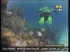 الراس ام الذيل   (جولة انيس)