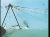 نهاية عصر التونة (التونة)