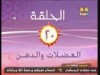 العضلات والدهون  (اسرار الحياة)