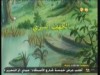 الكهف السري   (دورية الضفادع)